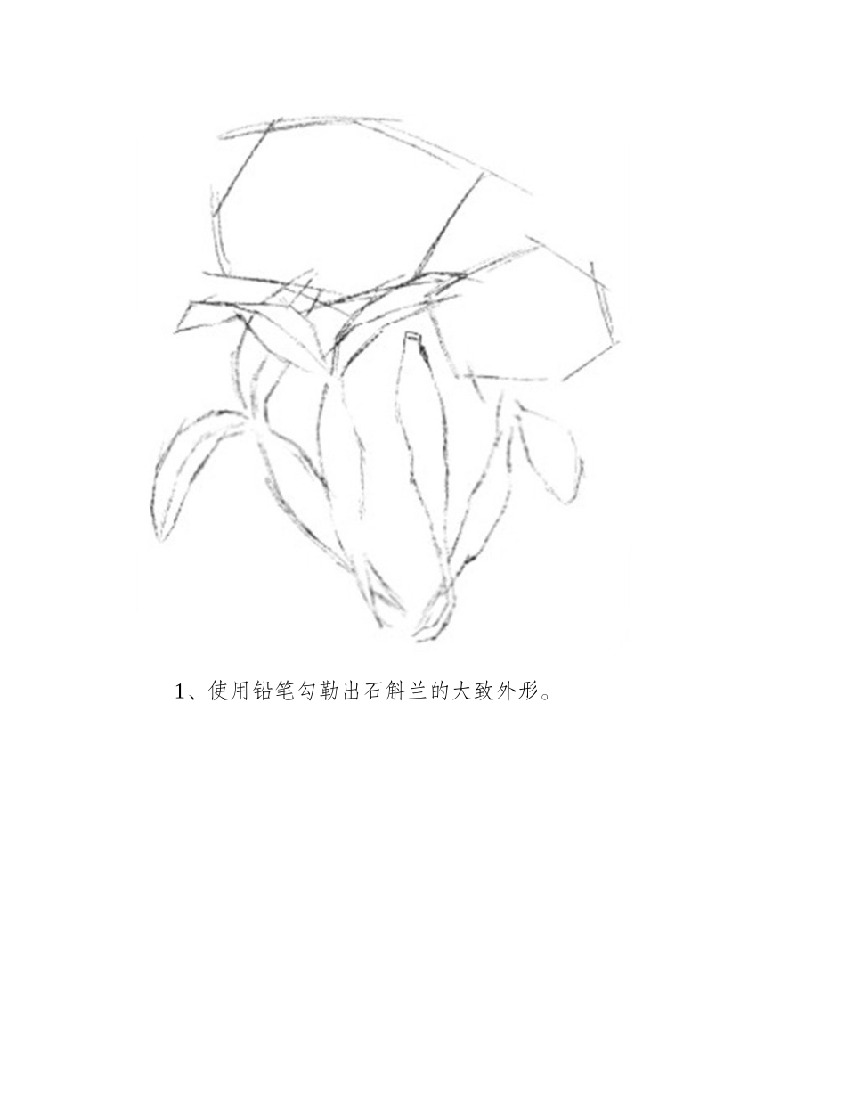 水粉画花卉画法图解：水粉石斛兰的画法水粉画教程_第2页