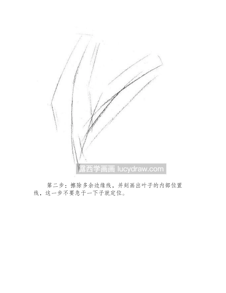 素描教程之怎么绘制铁树叶子素描教程_第2页