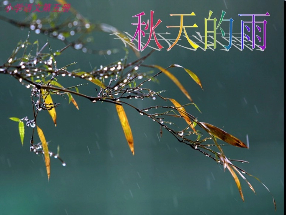 秋天的雨演示文稿2_第1页