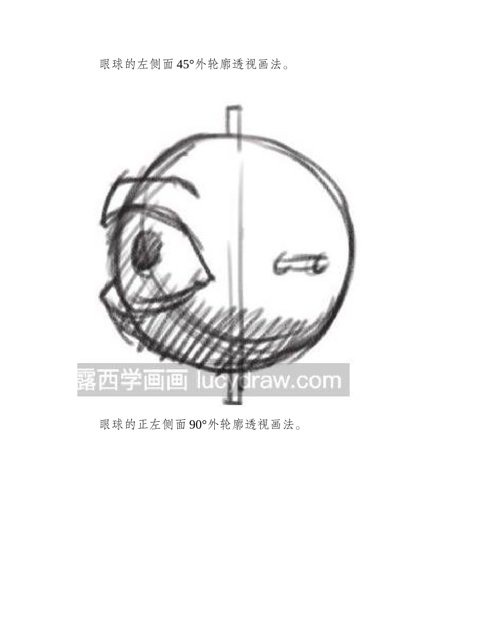 素描眼睛的基本画法素描教程_第2页