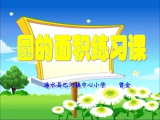 圆的面积练习课课件