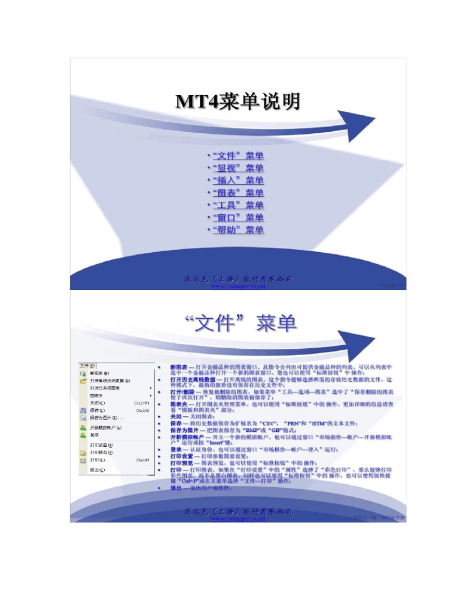 MT4外汇交易平台用户指引_第2页