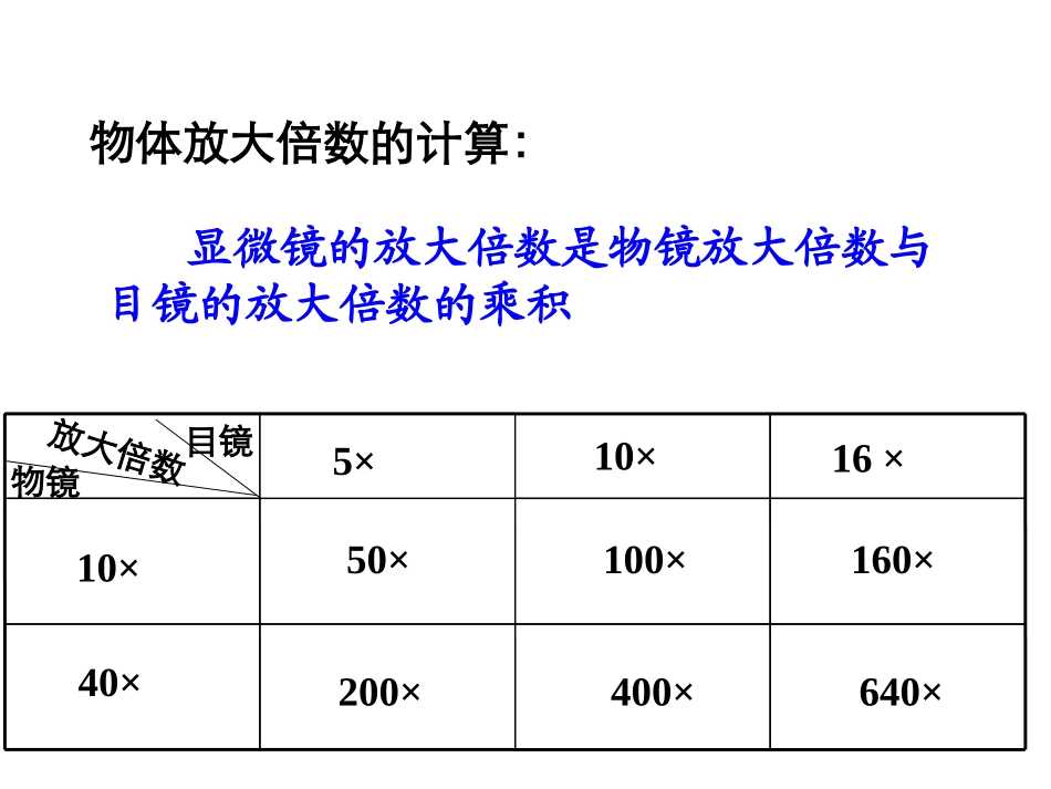 七上结构层次复习_第3页