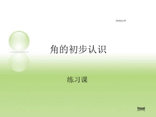 角的初步认识练习课