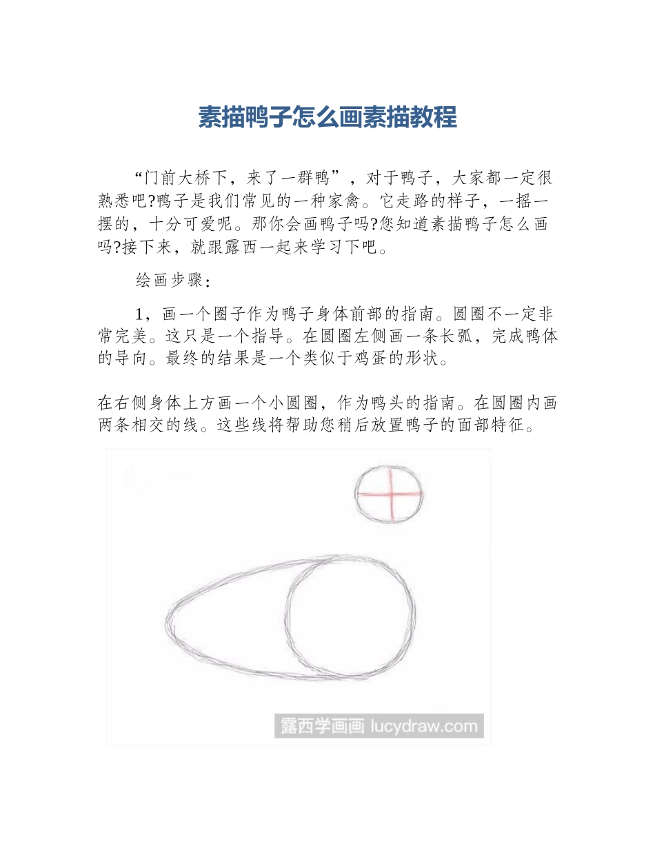 素描鸭子怎么画素描教程_第1页