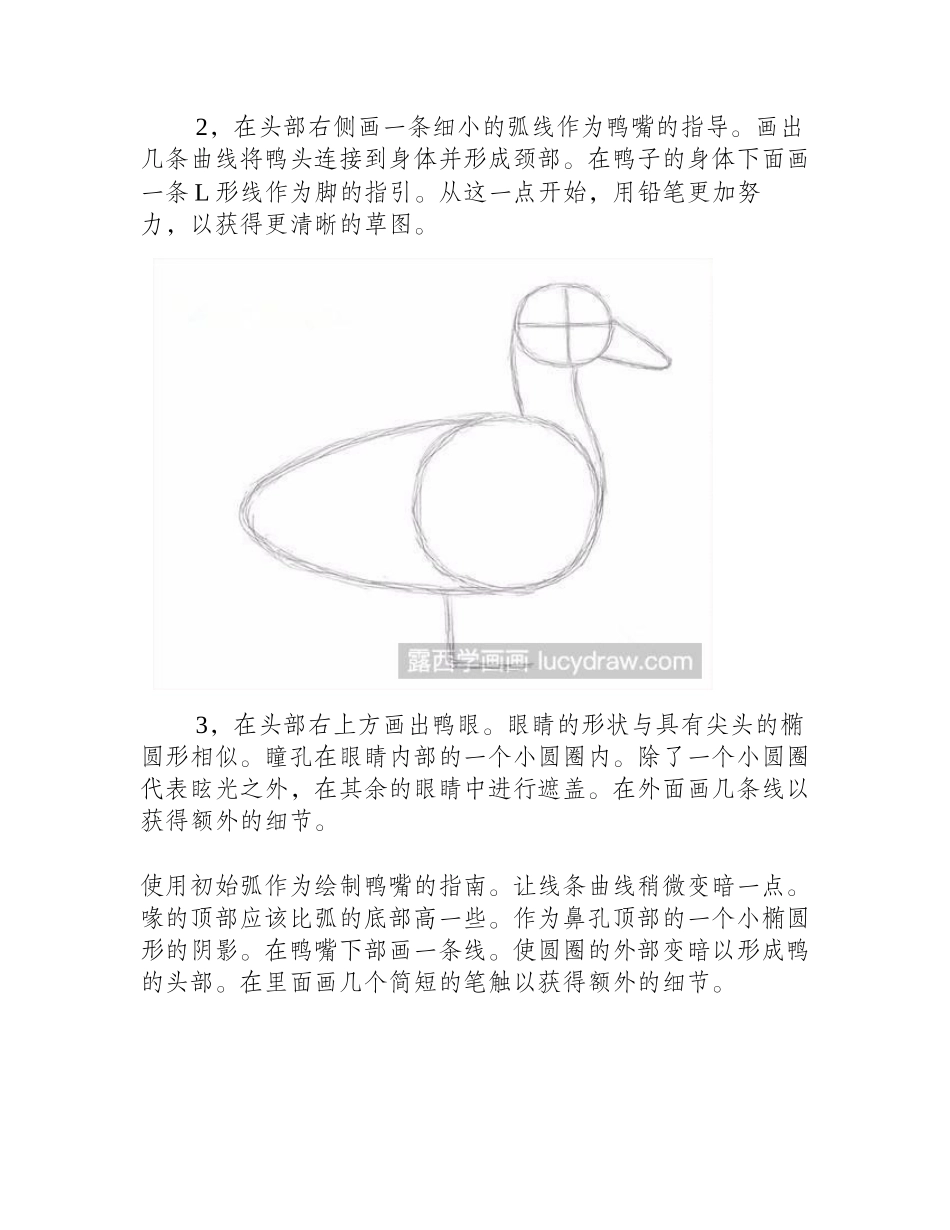 素描鸭子怎么画素描教程_第2页