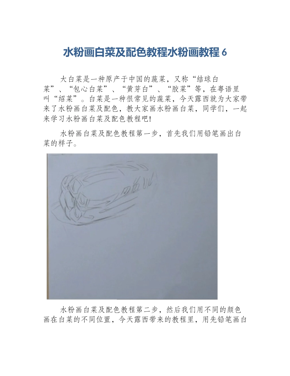 水粉画白菜及配色教程水粉画教程6_第1页