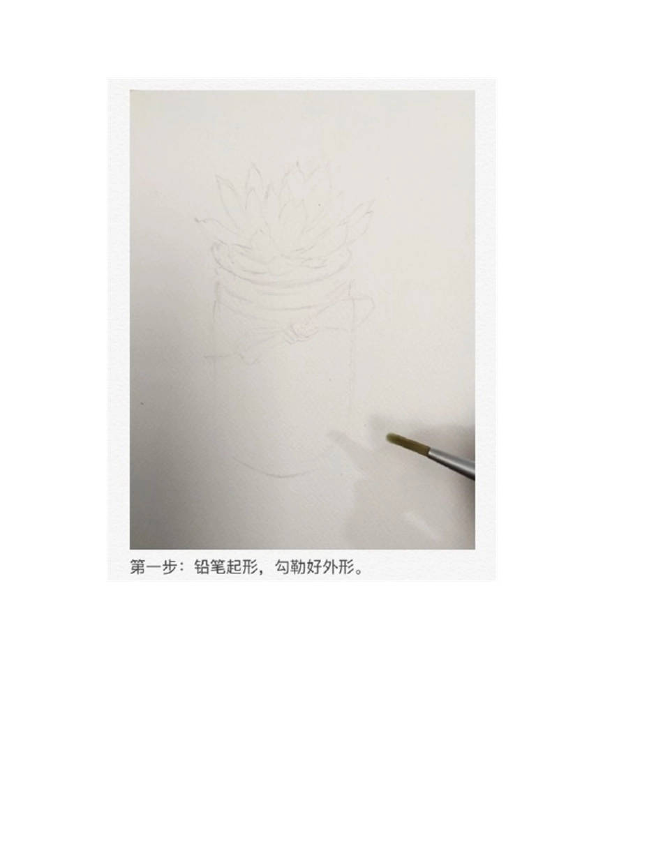 水彩画多肉植物教程水彩画教程_第2页