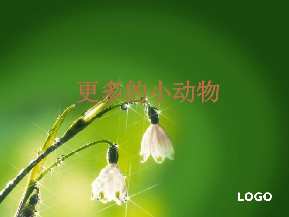 更多的小动物_第1页