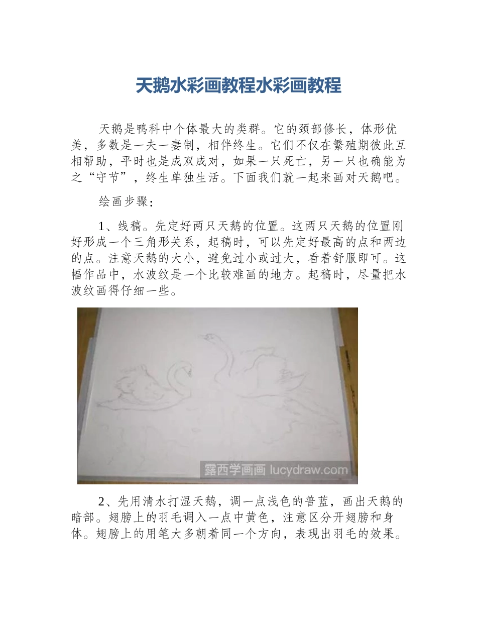 天鹅水彩画教程水彩画教程_第1页