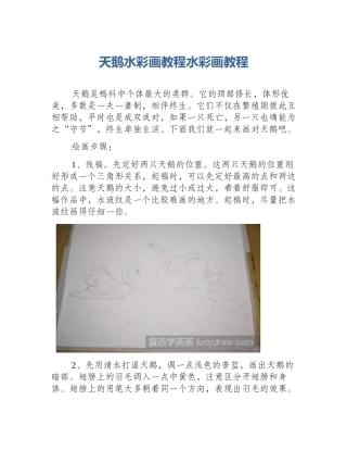 天鹅水彩画教程水彩画教程