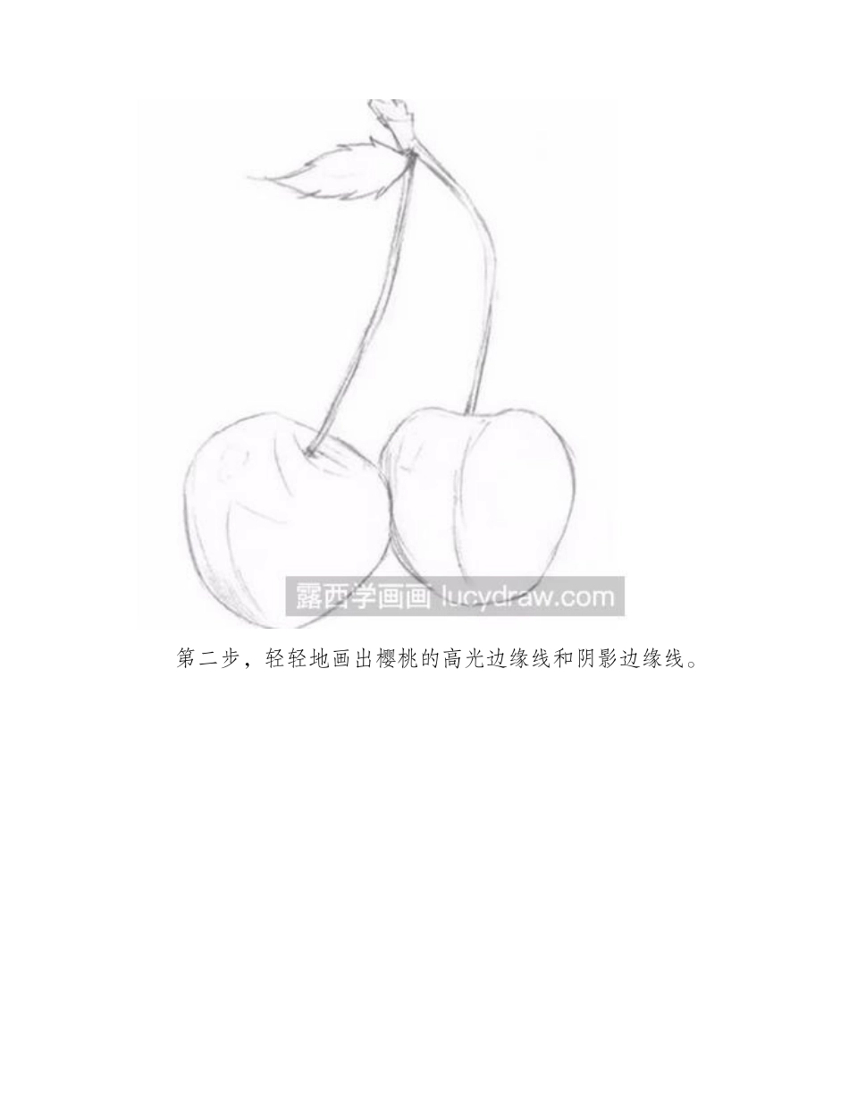 素描教程之樱桃的画法素描教程_第2页