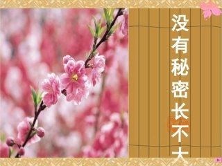 没有秘密长不大PPT