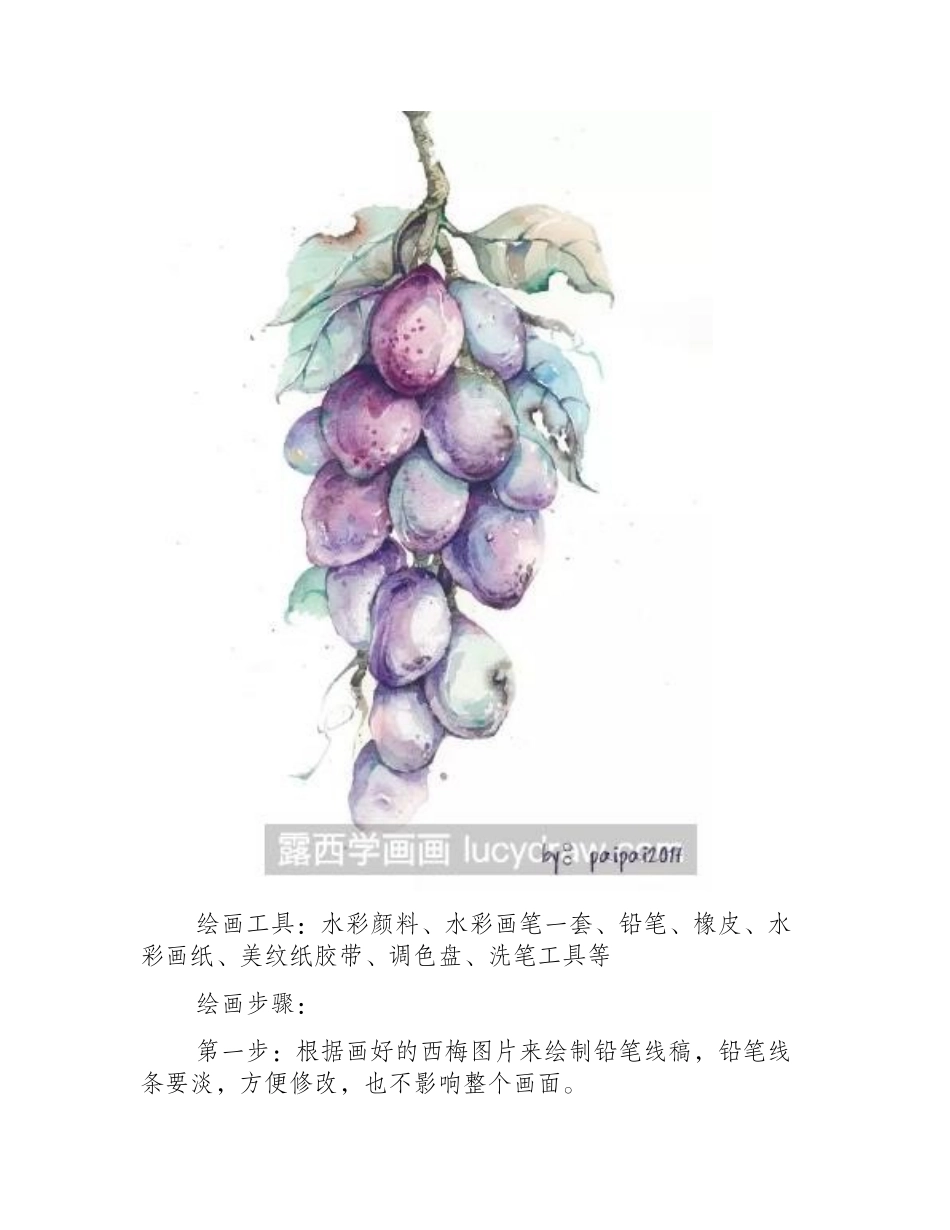 水彩画西梅步骤教程水彩画教程_第2页
