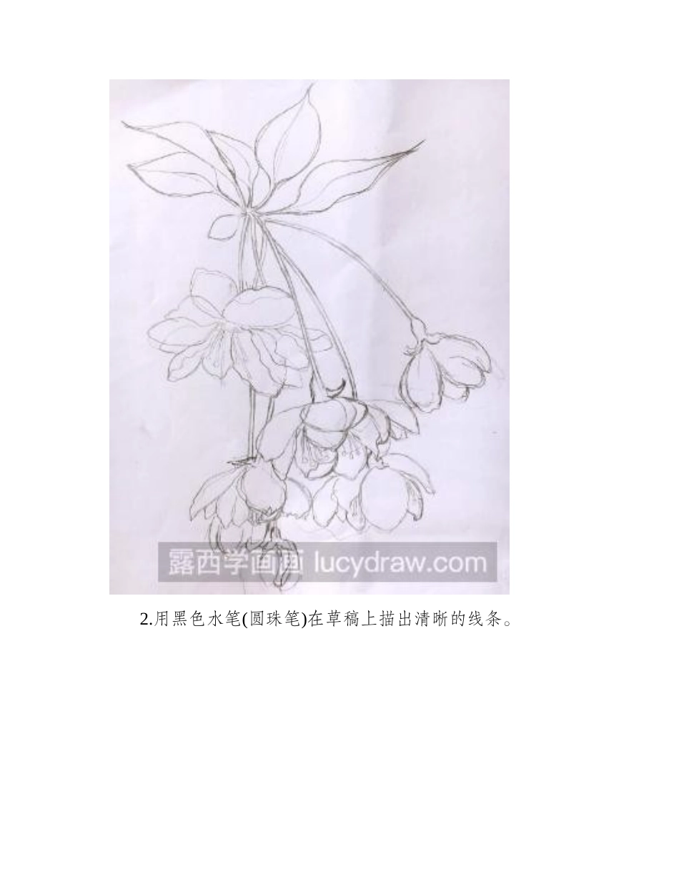水彩花卉教程：垂丝海棠的画法水彩画教程_第2页