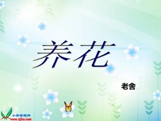 课件：《养花_》PPT课件