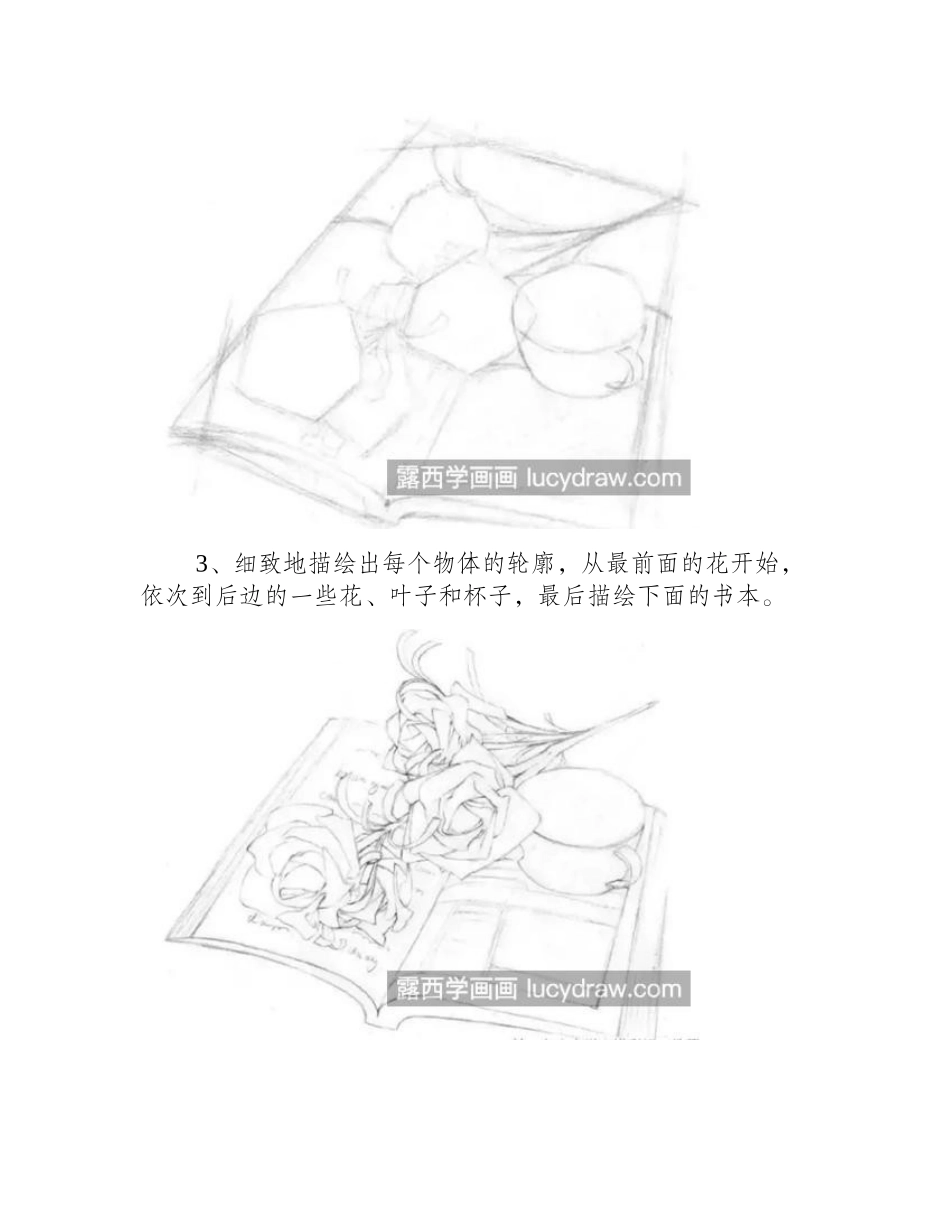 书上的白玫瑰怎么画_素描玫瑰的步骤有哪些_素描教程_第2页