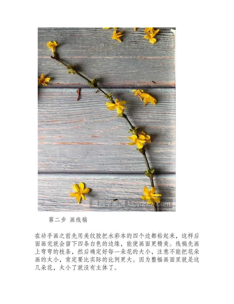 水彩画迎春花怎么画水彩画教程_第2页