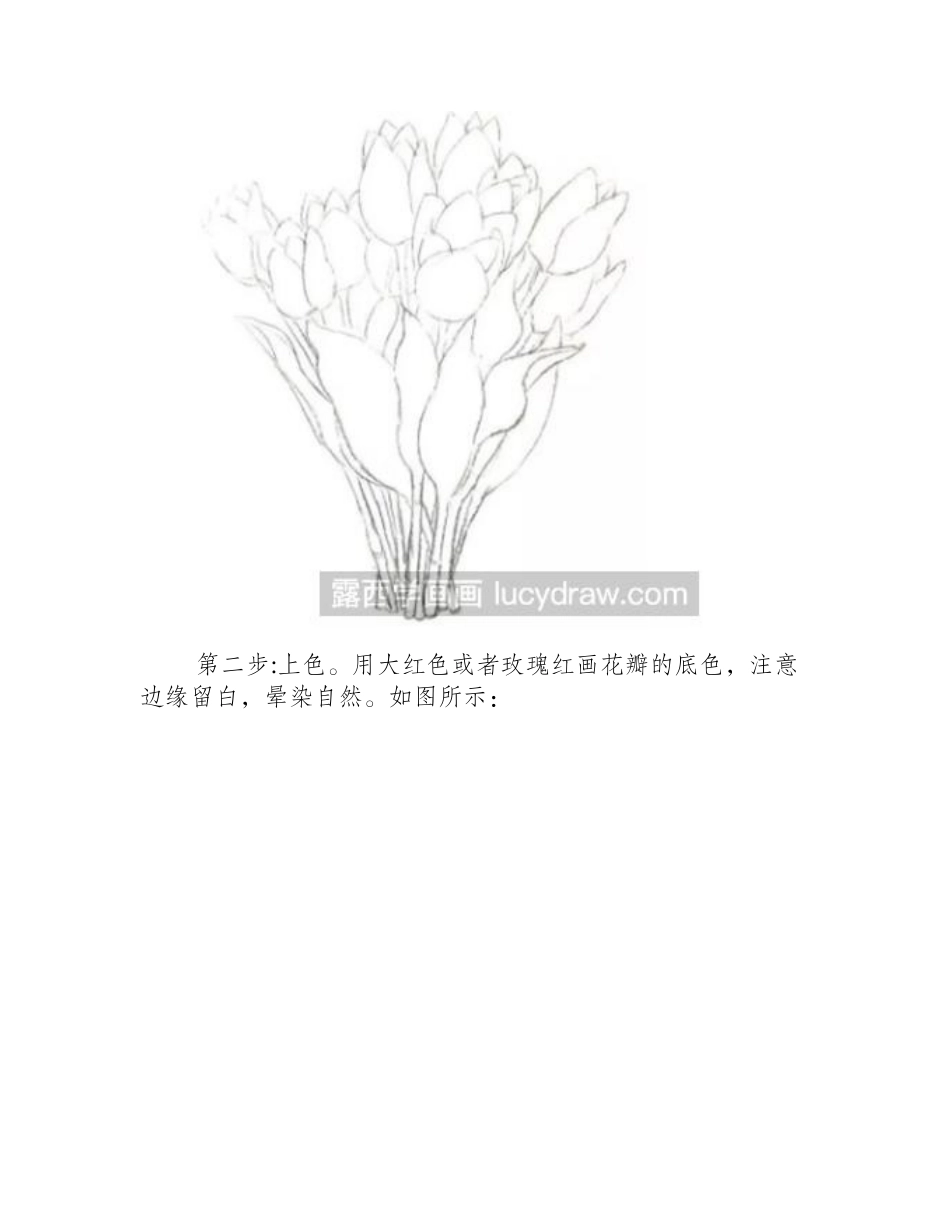 水彩画教程：怎么画一束郁金香_水彩画教程_第2页