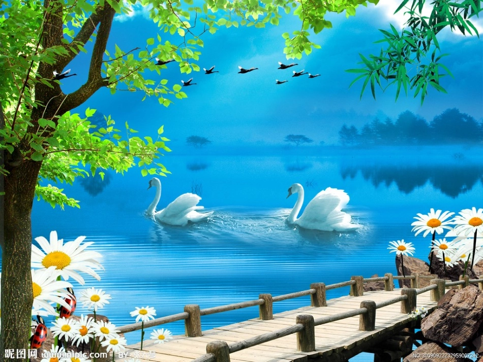 生态系统的组成课件_第1页