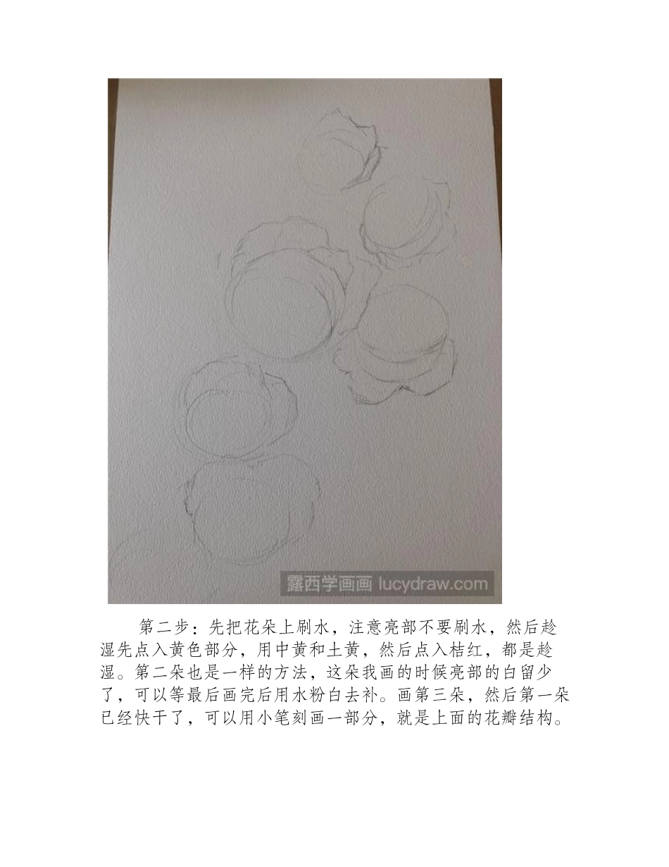 水彩画月季的画法水彩画教程_第2页