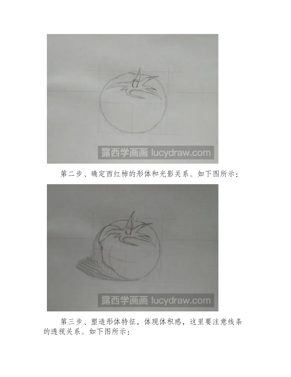 素描教程：教你画西红柿素描教程_第2页
