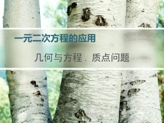 一元二次方程的应用-质点问题