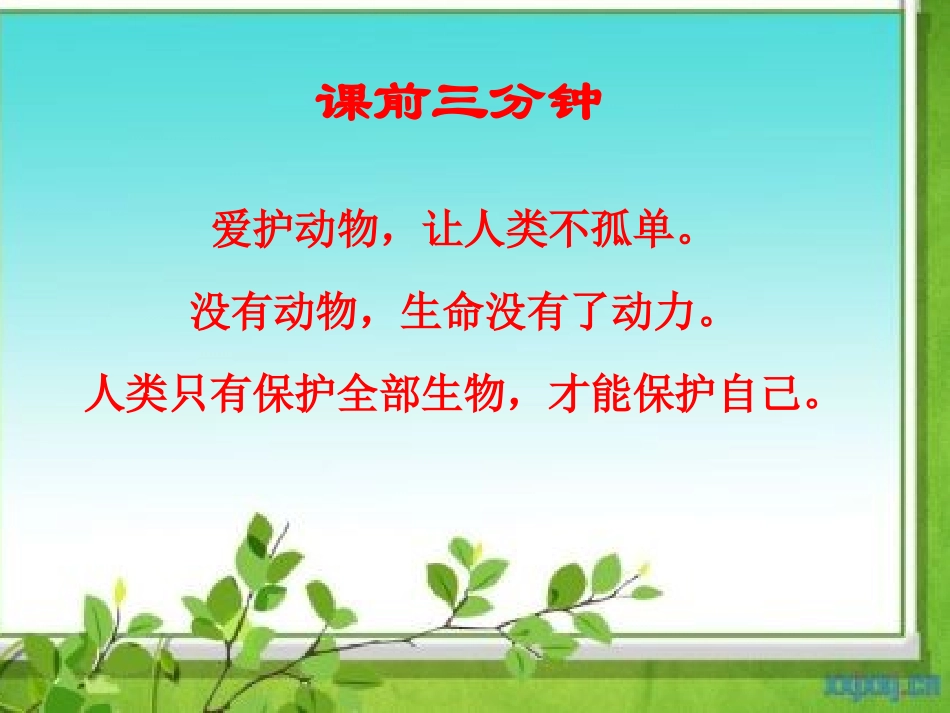 老人与海鸥 ()_第2页