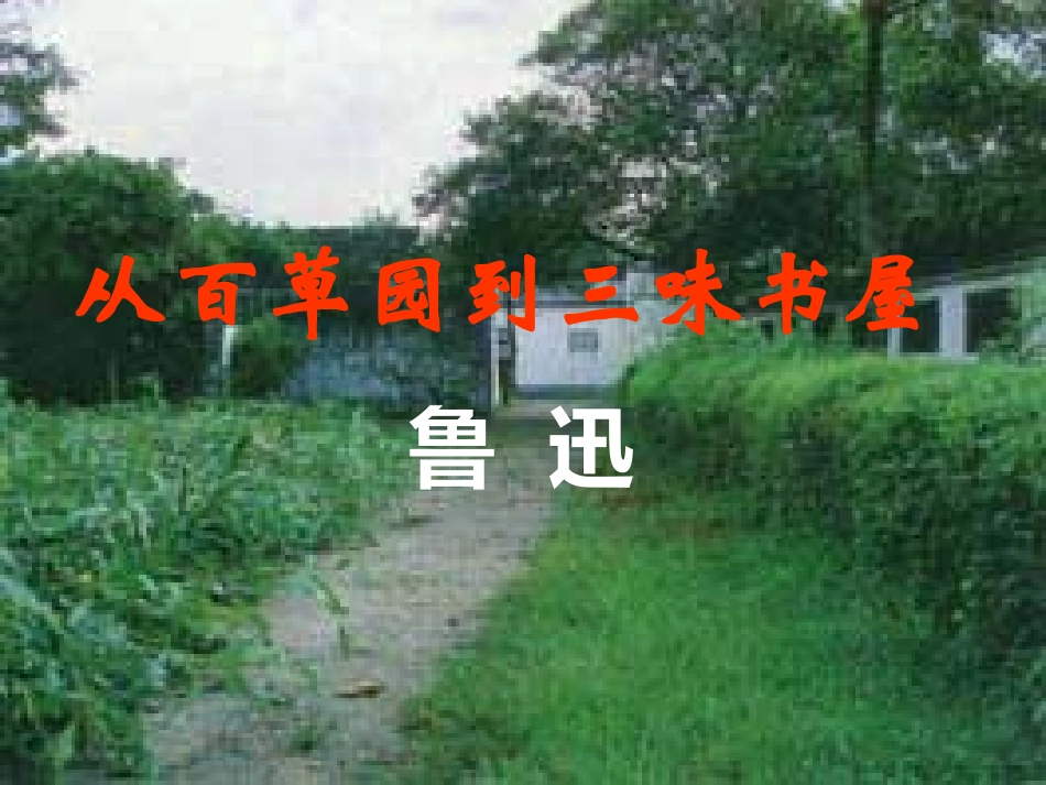 从百草园到三味书屋 (6)_第2页