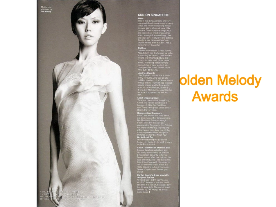 英语课前演讲——孙燕姿_第3页