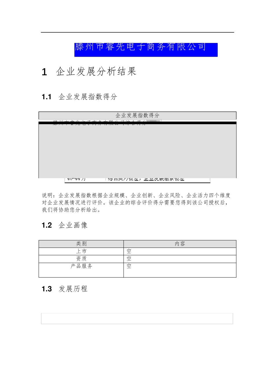 滕州市睿先电子商务有限公司介绍企业发展分析报告 _第2页