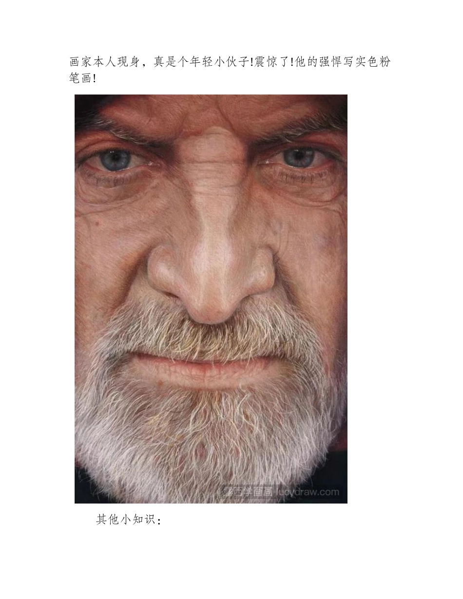 塞维利亚画家RubenBellosoAdorna色粉画作品赏析色粉画作品2_第2页