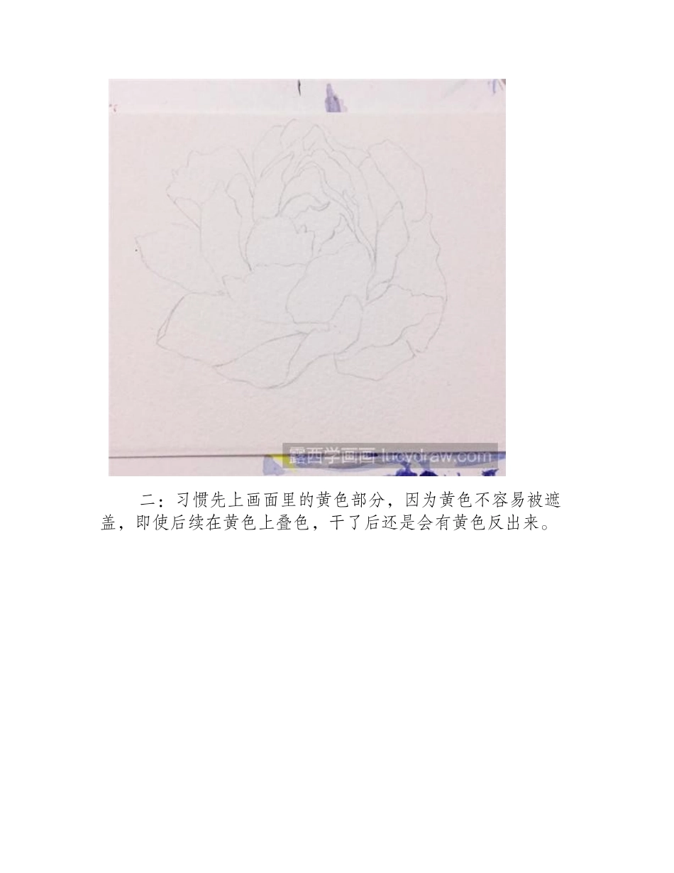 芍药花水彩画教程水彩画教程_第2页