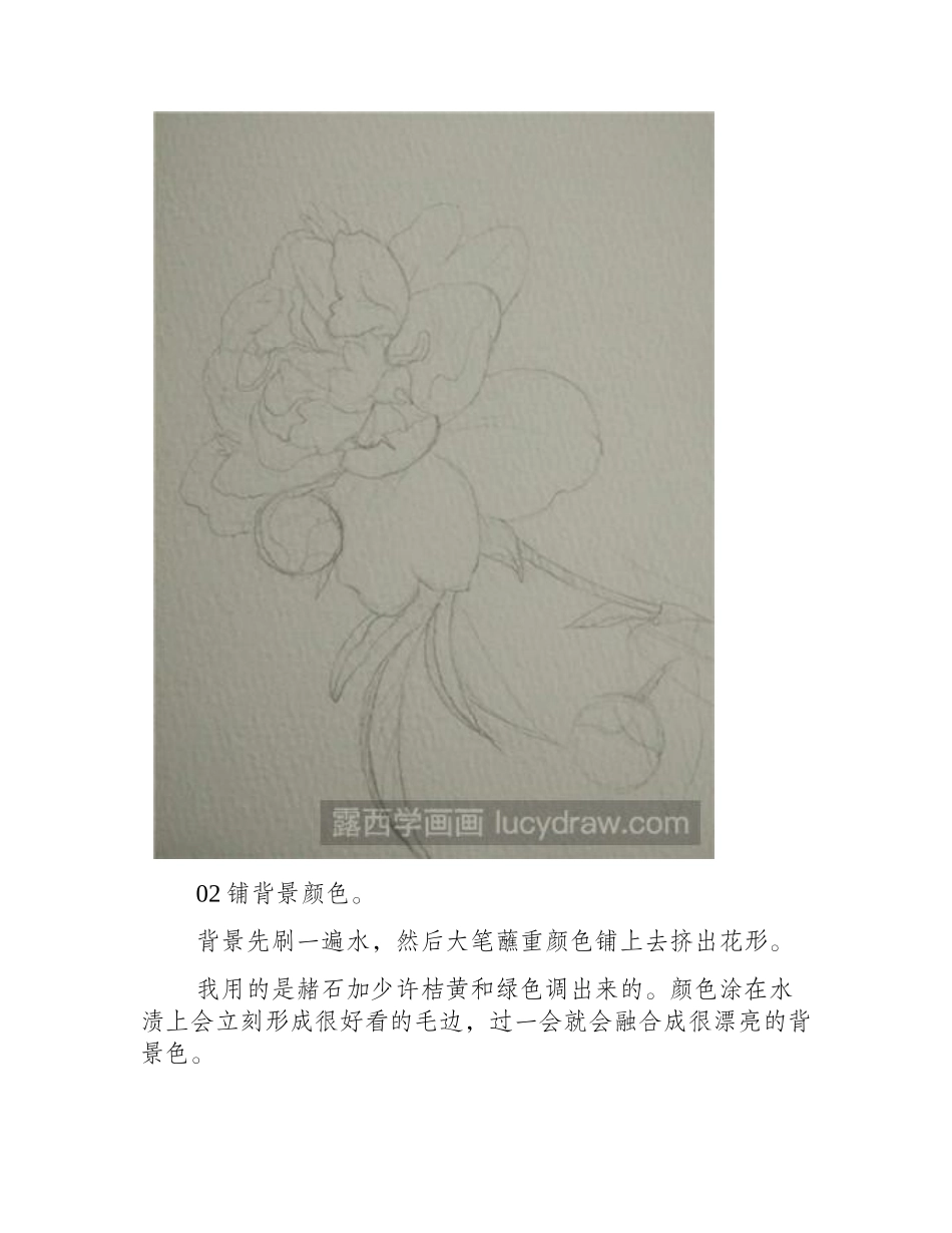 水彩画教程：教你画花儿水彩画教程_第2页