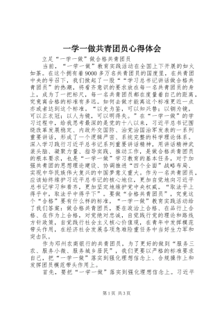 一学一做共青团员心得体会