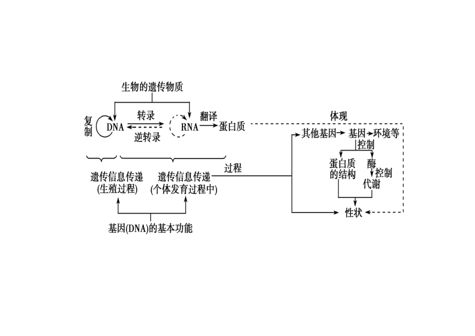 必2基因表达_第1页