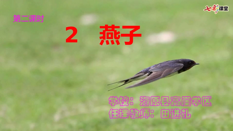 《燕子》第二课时_第1页