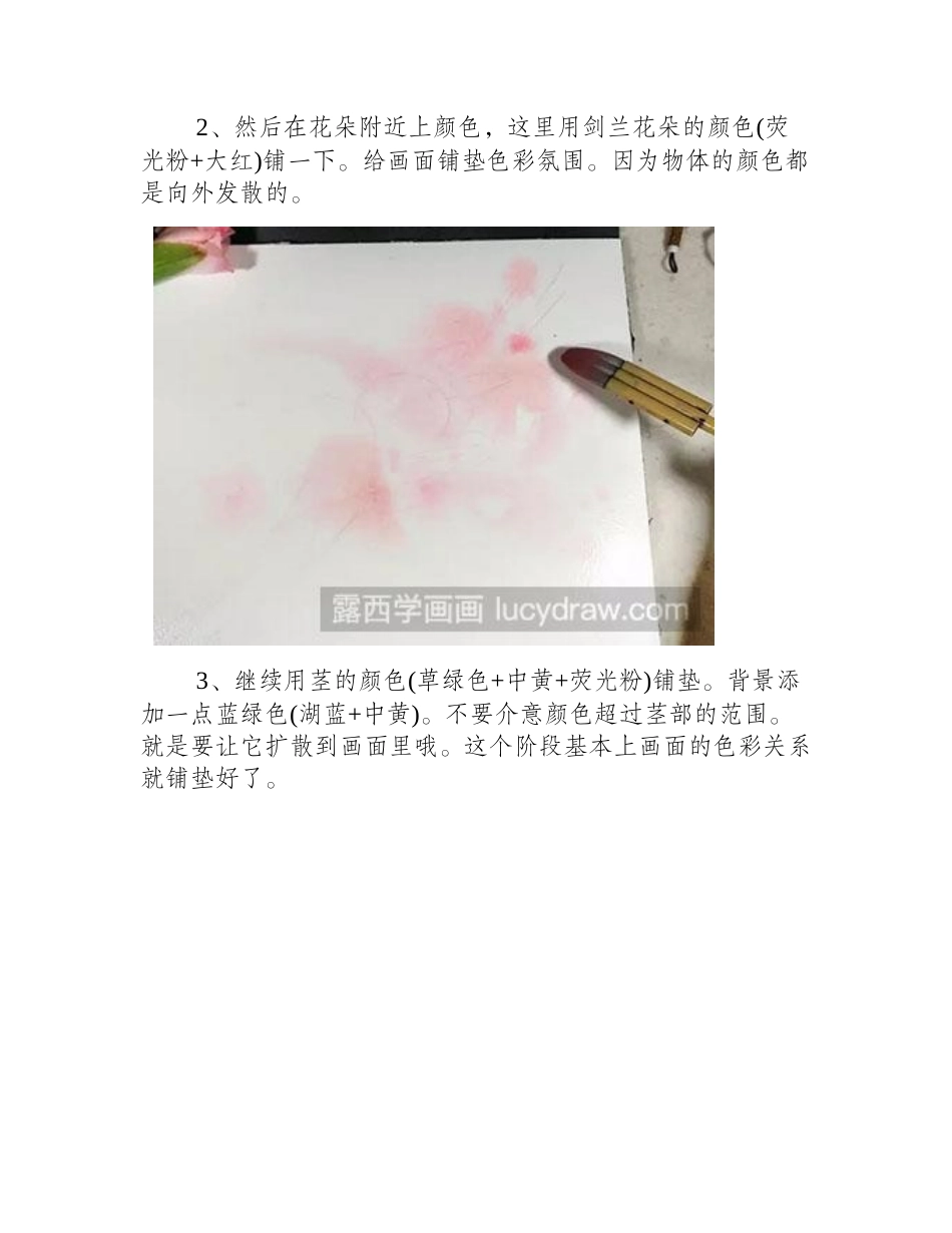 水彩画教程-剑兰的绘制方法水彩画教程_第2页