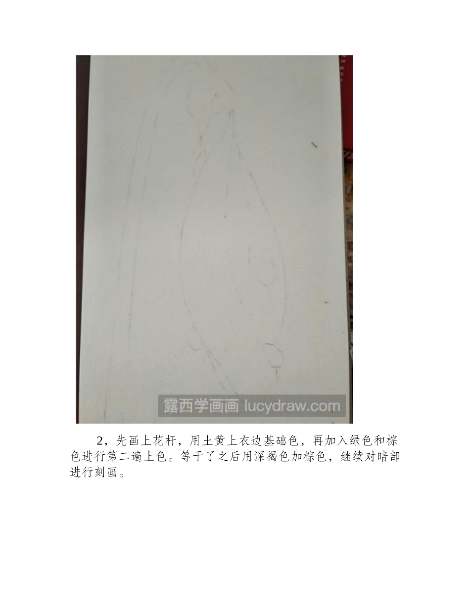 水彩画教程：教你画花蕾水彩画教程_第2页