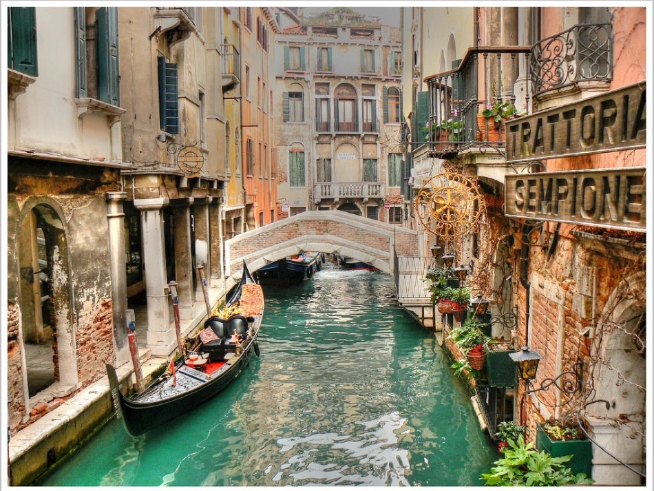 四年级音乐《大家来唱》_第3页