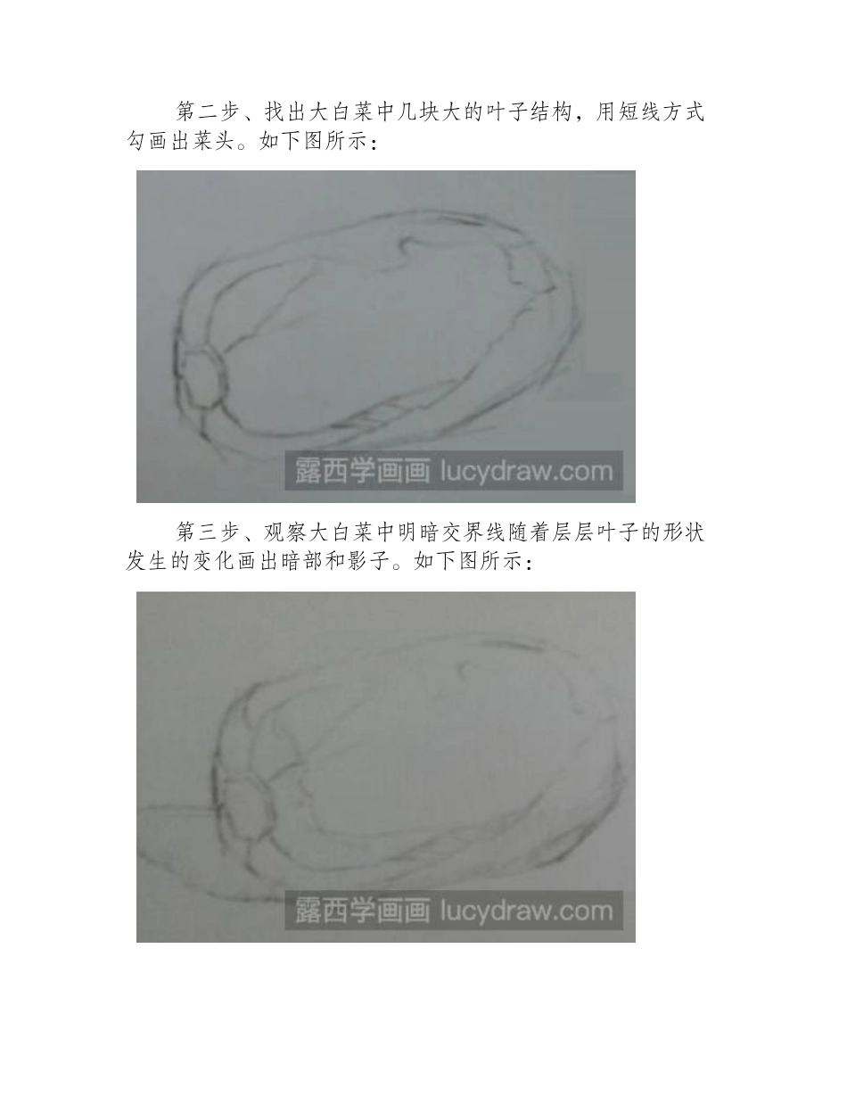 素描教程：教你画大白菜素描教程_第2页