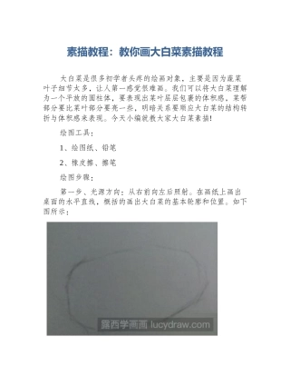 素描教程：教你画大白菜素描教程