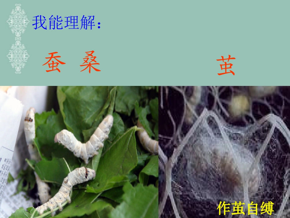 四年级下册杨艳第六单元第23课《乡村四月》_第3页