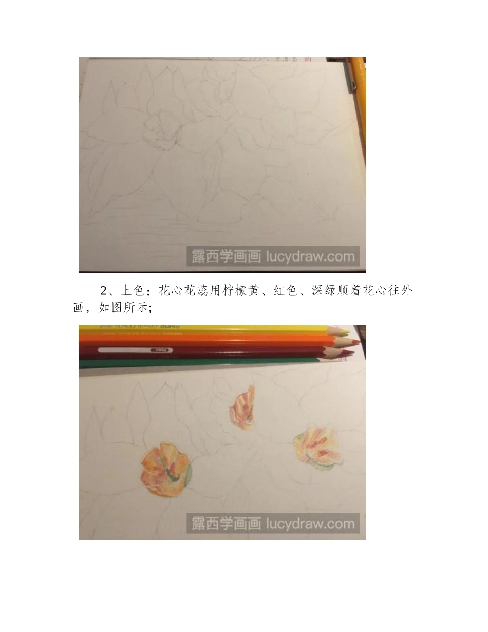 水仙花瓣怎么画彩铅画教程_第2页