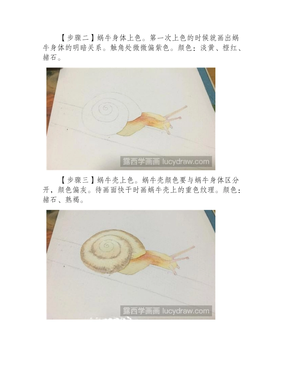 水彩画蜗牛怎么画水彩画教程1_第2页