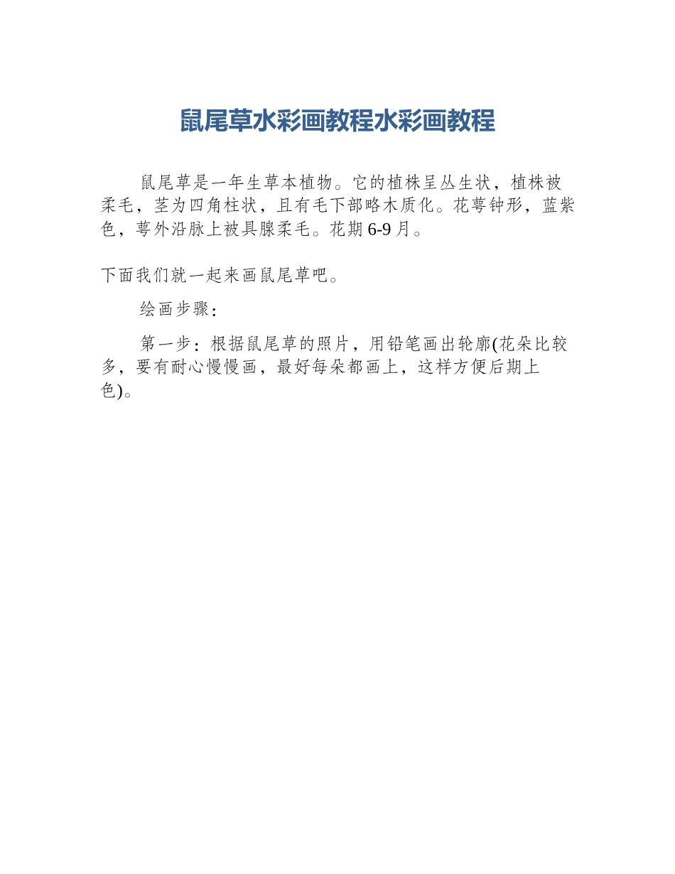 鼠尾草水彩画教程水彩画教程_第1页