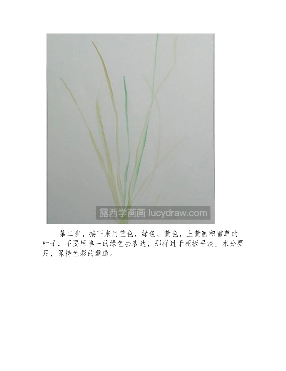 水粉画教程：怎么画积雪草水粉画教程_第2页