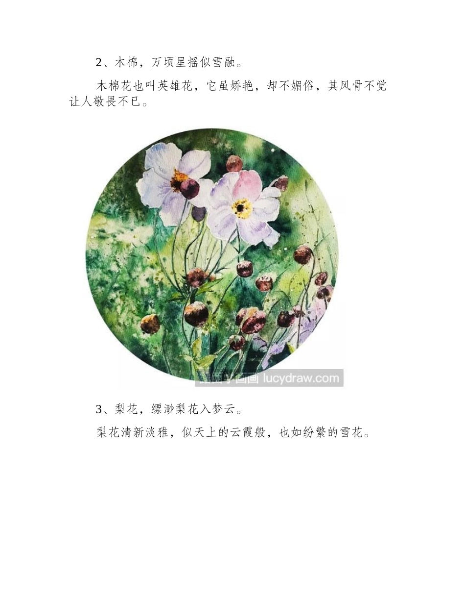 水彩花卉作品欣赏：生当如夏花水彩画作品_第2页