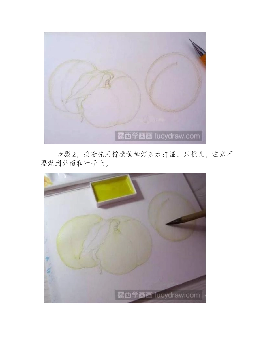 水彩画教程：三只小毛桃水彩画教程_第2页