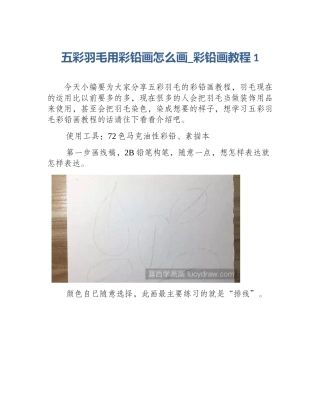 五彩羽毛用彩铅画怎么画_彩铅画教程1